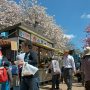 【天平の丘公園の八重桜】お店はどこも大繁盛 