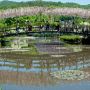 【あしかがフラワーパーク】うすべに橋