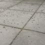 Iemand enig idee hoe dit komt in de tuin? Vogels? #dtv