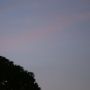 東の空、さきほど金星(下)と木星(上)が仲良く昇ってきましたー。分かるかな？(^^;