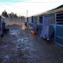 Vandaag veel regen en storm gehad😔. Ik was tevreden over beiden paarden; Brent ging heel fijn en daarom was de score van 58,4p wel shocking. Tobruk was echt heel braaf in de storm; 49,6p. Morgen de cross #barrocadalva #RuitersInOranje