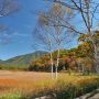 【小田代ヶ原】戦場ヶ原の再奥部に位置する湿原・小田代ヶ原