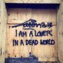 I am a loner in a dead world
#laser314 #streetart #poetry