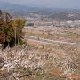 【榛名梅林】高い所に登って眺めてみーる♪