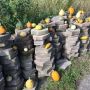 Natuurtalenttuin Schiebroek. 