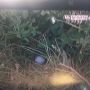 @hanging_lie @Robinhiscab @GaryPlayer  jaidee tee shot . We wouldn't find that