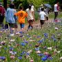 【とちぎわんぱく公園】無料開放されている公園なのでお天気の良い日曜日となればお客さんでいっぱいです もうちょっと早く来たかったな