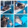 Got 2 meet (& kiss) Winter (the dolphin) today, from the movie Dolphin Tale. In Clearwater FL. 
1 of my fav moments! 