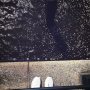 White lies and crap in the river ⚪️⚪️⚪️
#ultraboost #dingetjes #fromwhereistand