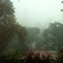 """"""""""""""""""""""""""""""""""""""""""""""""""""""""""""""""""""""""""""""☂""""""""""""""""""""""""""""""""""""""