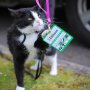 Our Sjekkie gets full VIP treatment here @thewomenstour, but she doesn't seem impressed... Little princess enjoys the attention;-)