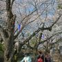 【城之内公園】路地裏にある穴場的スポット的な静かな感じが好き～ 上三川城址に相通じるモノがあるなｗ