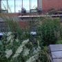 High Line. 