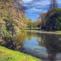 Spring for a day.