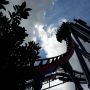   SheiKra is echt de gaafste achtbaan die ik ooit heb gedaan. Wow.