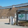今日は今シーズン最初の桜撮影として河津桜が見頃を迎えた宇都宮城址公園に行ってｷﾀ━━ヽ(ﾟ∀ﾟ )ﾉ━━!! 