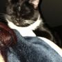 All up in my business. #BBKITTY