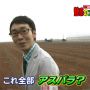 アスパラダイス