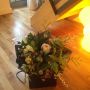 Aw, lovely owners sent us a big bunch of flowers for returning the cat to them. Nice folks. 