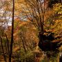 塩原の奥地を行く