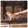 小悪魔〜〜