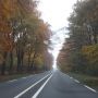 Onderweg naar Zwolle. Mooi in de herfst. 