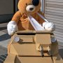 【第20回大洗あんこう祭り】商店街を闊歩するボコさんｗ 