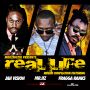 VARIOUS ARTIST - REAL LIFE RIDDIM #ITUNES 1/13/15 @mriizmuzik