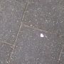 Nog een verloren hart van gisteren? @hartopstraat