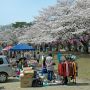 【黒磯公園】日曜日ということもありフリマもやってた