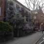 @erb66 @terrycab1962 @mr_sandypar @Sangfroid_Golf @cabbiescapital My final & gold medal offering on Ryl Hosp Rd 