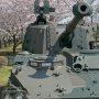 【りっくんランドの桜】脚立持ってきてホント良かったぜ 受付のネーチャンに怪訝な視線を浴びたが(ﾟεﾟ)ｷﾆｼﾅｲ!! 