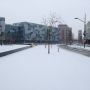 Nijmegen is wit. 