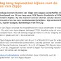 Pay Per View omruilen voor een dagpas voor 3 zenders, slim van Ziggo