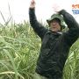 きゃー王子ー