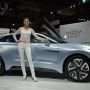 【東京モーターショー2013】こちらはコンセプトカーのVIZIV EVOLUTION CONCEPT