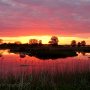 #vanmorgen 5.00 uur even oefenen voor #dauwtrappen en dat is gelukt ! Super #rood kleurde de #horizon #staatsbosbeheer #deweerribben #scheerwolde #steenwijkerland #natuur #zon  #lente #actueel #mfnl #netherland #watereijkweerribben/wieden. #buienradar