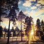 Sundown in Dalarna 🇸🇪
#vasachallenge #sun #sunset #sweden