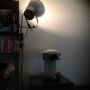 My first studio flash has found a new life in my living room... #Philips #Hue 