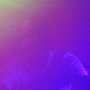 Got the smoke machine working again in our #smallestdisco ☁️☁️ 🕺☁️☁️