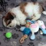 @3offtheT sleeping 
