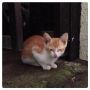 さいごはポーズとってくれました（笑）