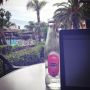 Changed the settings of my office for the day 🌴🌴
#wifiiscrappytho #apalmadaykeepsthedoctoraway #waterproofmacbookwanted