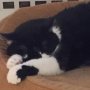 Wee Suzi, flaked oot. 