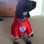 Getting ready for World Cup 
