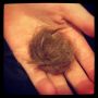 Faye made a mini-birds-nest from her hair (getting a haircut)