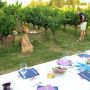 Diner dans les vignes. 