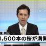 ｿﾒｲﾖｼﾉ