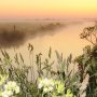 O wat hou ik van de #ochtendnevel! #Superplaatjes krijg je dan ! Vanmorgen bij #oldemarkt #steenwijkerland #lente #voorjaar #zon #natuur #nature #mist #mfvnl . #buienradar