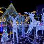 【グンマー】高崎・光のページェント2013は本日より開催！